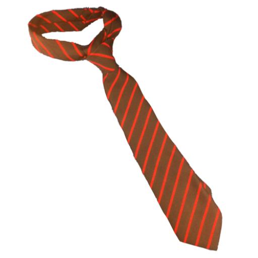 Selsted School Tie