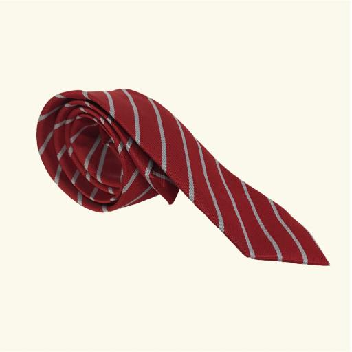 Saltwood School Tie